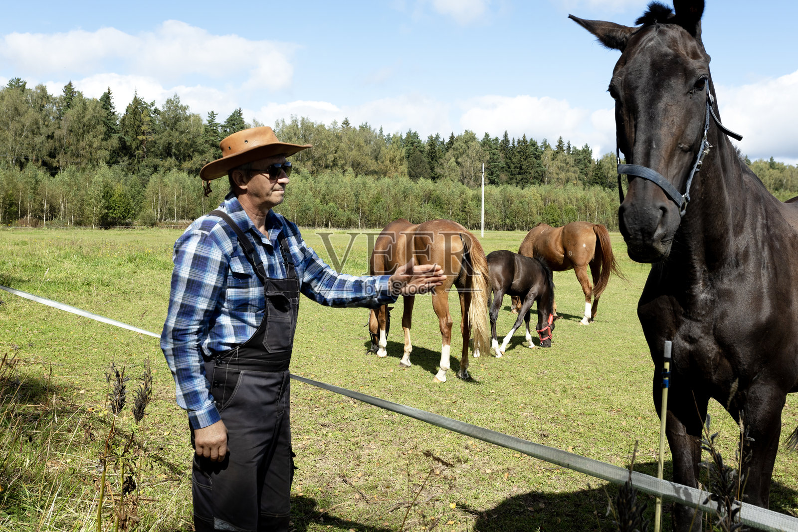 一位农民在农场照顾一匹马。照片摄影图片