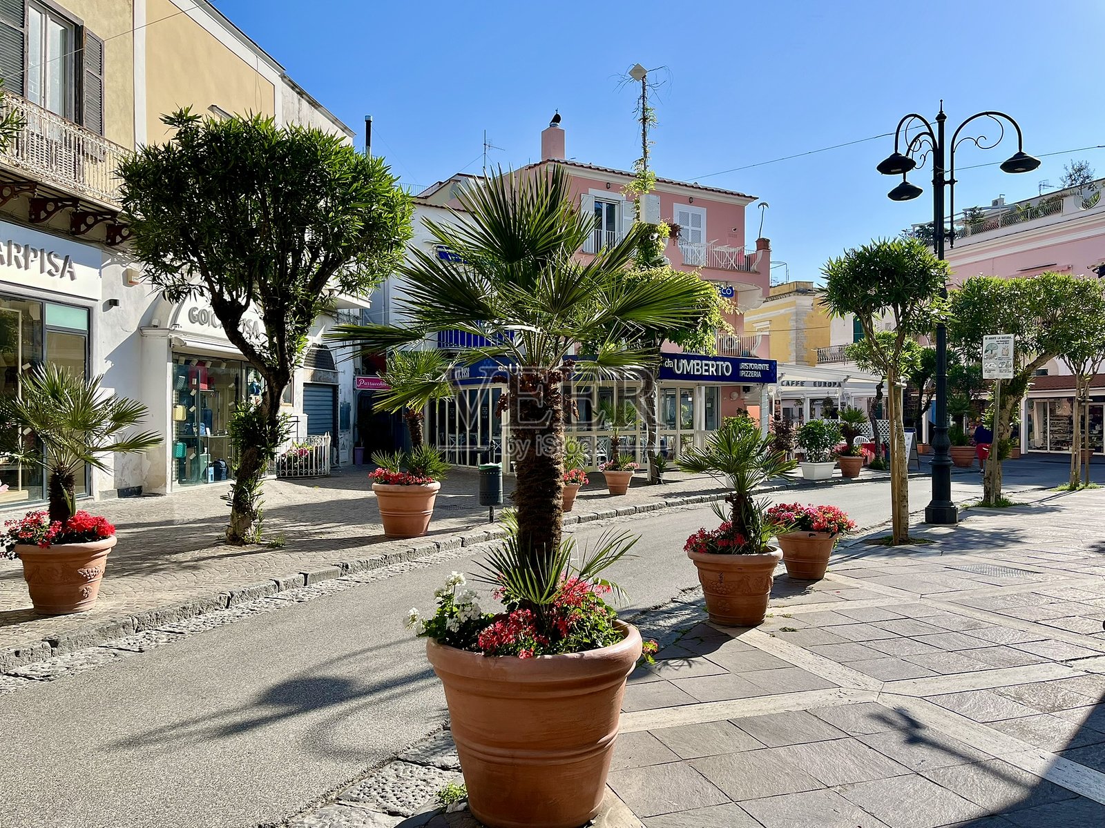 意大利 - 伊斯基亚岛 - 伊斯基亚镇的小广场照片摄影图片