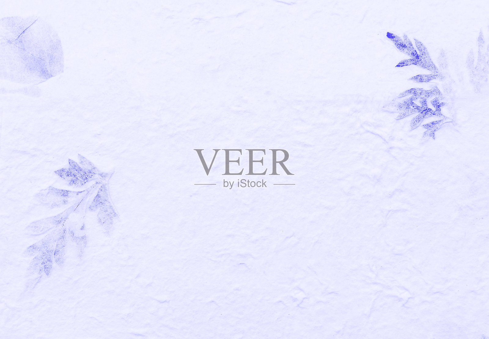 蓝色纸张带有叶子图案的背景照片摄影图片