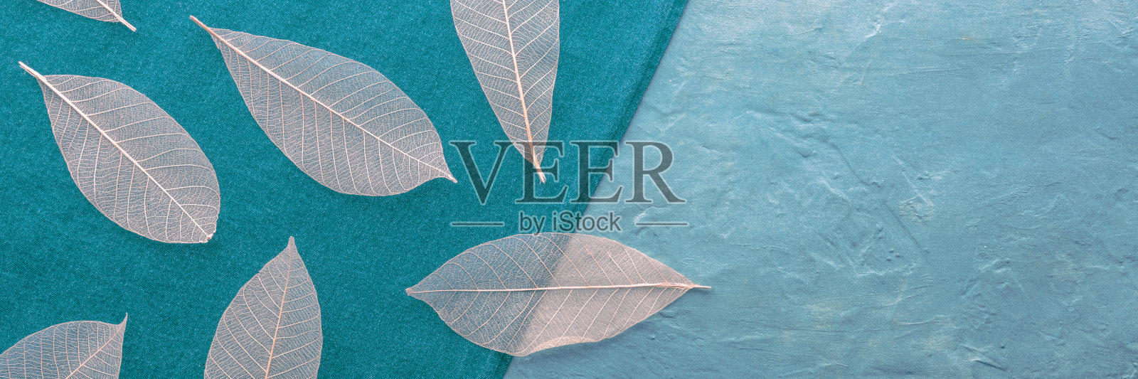 秋天的落叶全景横幅。蓝色纹理上的骨架叶子照片摄影图片