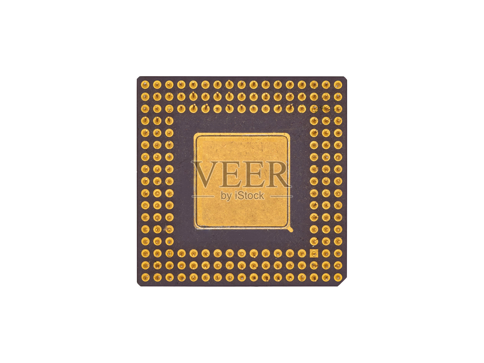 大型方形CPU微芯片，带有金色接触点，背景为灰色，独立展示。照片摄影图片