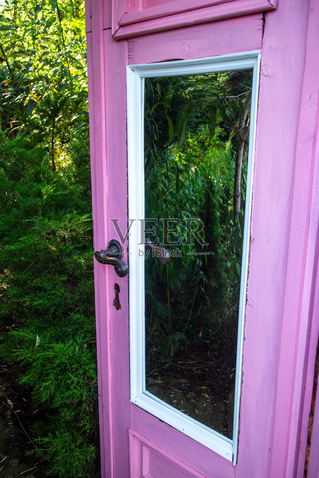 一扇粉色复古门带着玻璃窗，敞开着，位于一片绿色森林的中央。超现实的场景唤起了神秘和想象。照片摄影图片