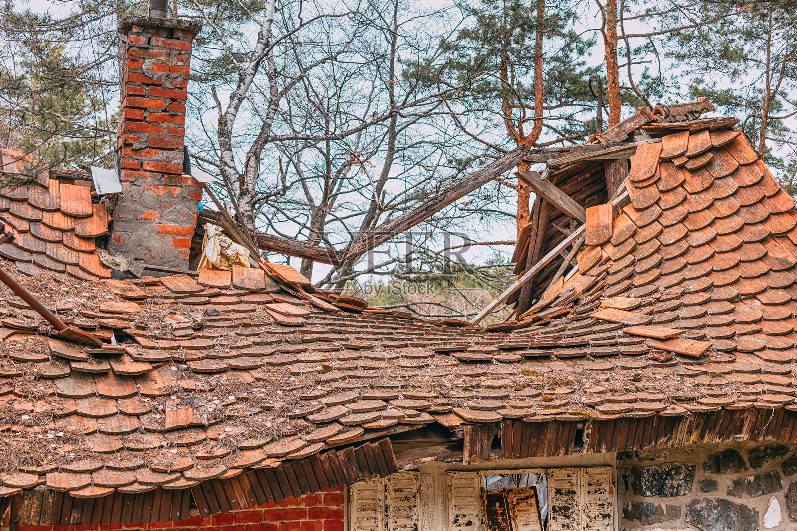 破损的屋顶瓦片和倒下的树枝暴露出一座废弃房屋的腐朽框架照片摄影图片