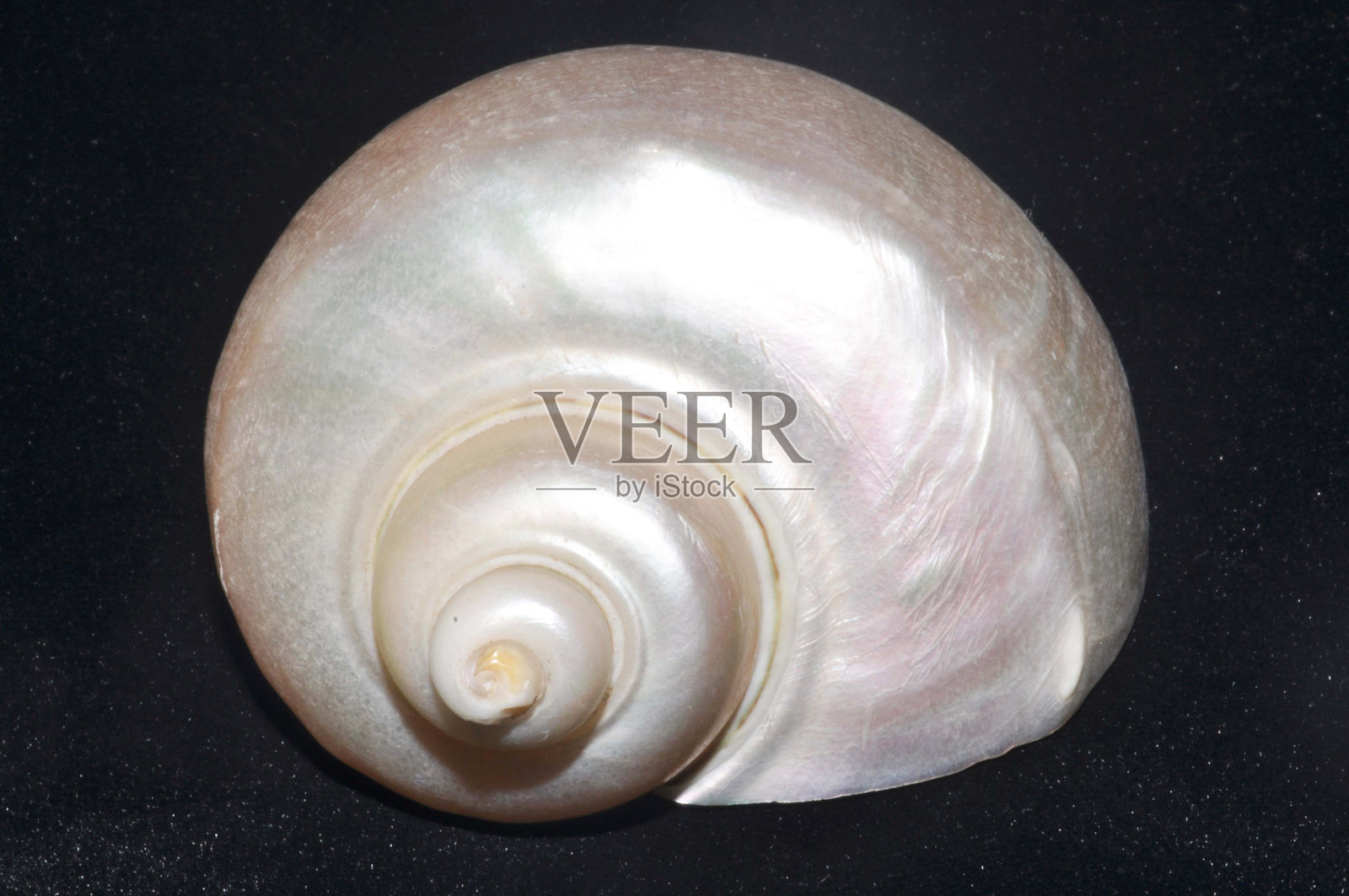 涡轮壳，印度，亚洲照片摄影图片