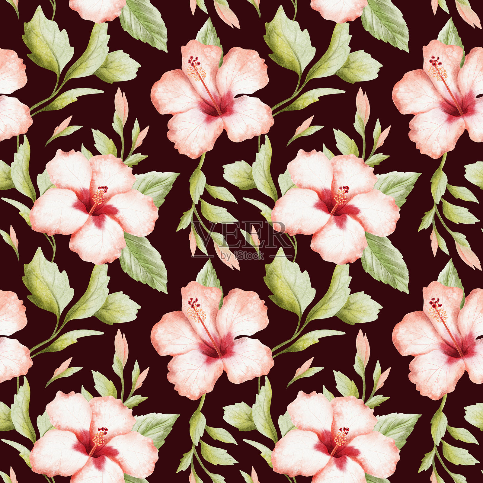 深色木槿水彩无缝图案，背景为棕黑色。鲜红色和白色的夏季花朵以及带花苞的绿色叶子在枝条上。手绘的热带盛开植物重复背景。插画图片素材