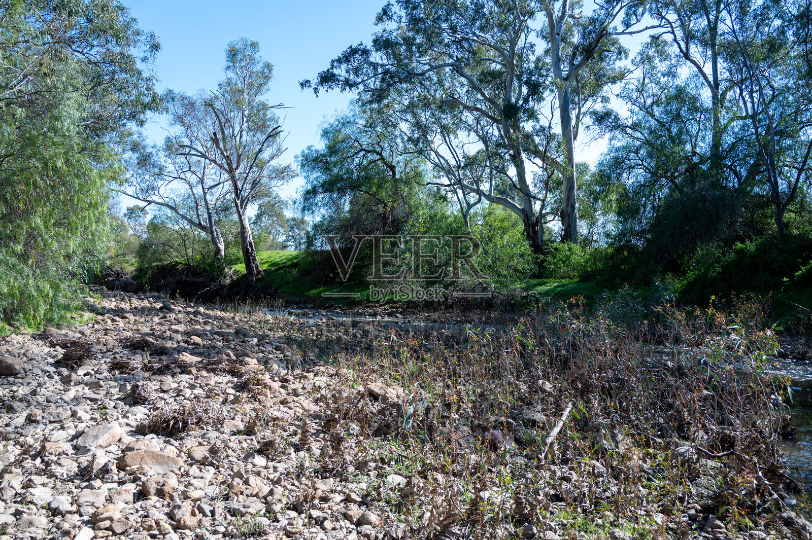 新南威尔士州地区的库拉瓦萨附近的邦邦溪照片摄影图片