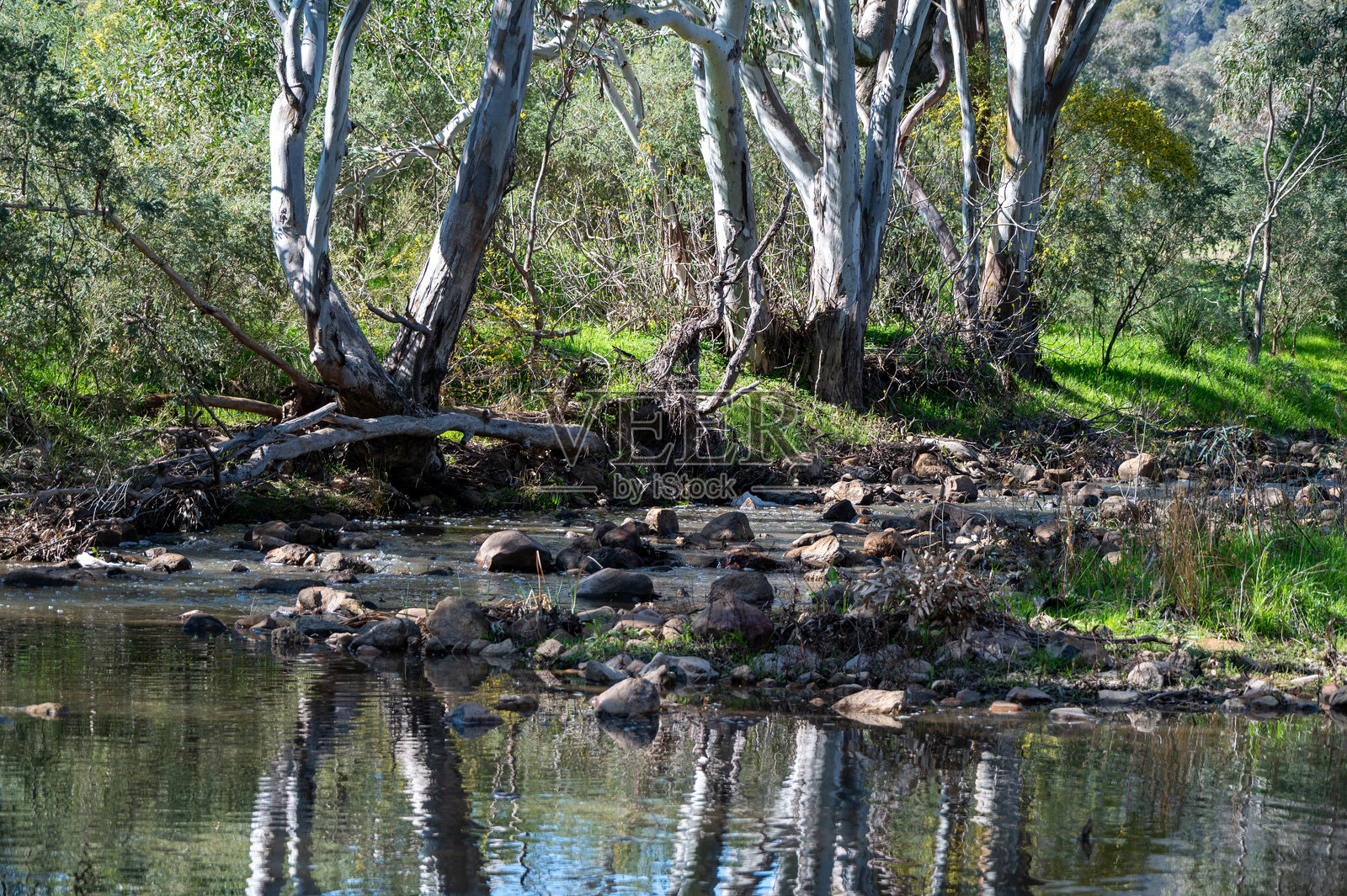新南威尔士州地区的库拉瓦萨附近的邦邦溪照片摄影图片