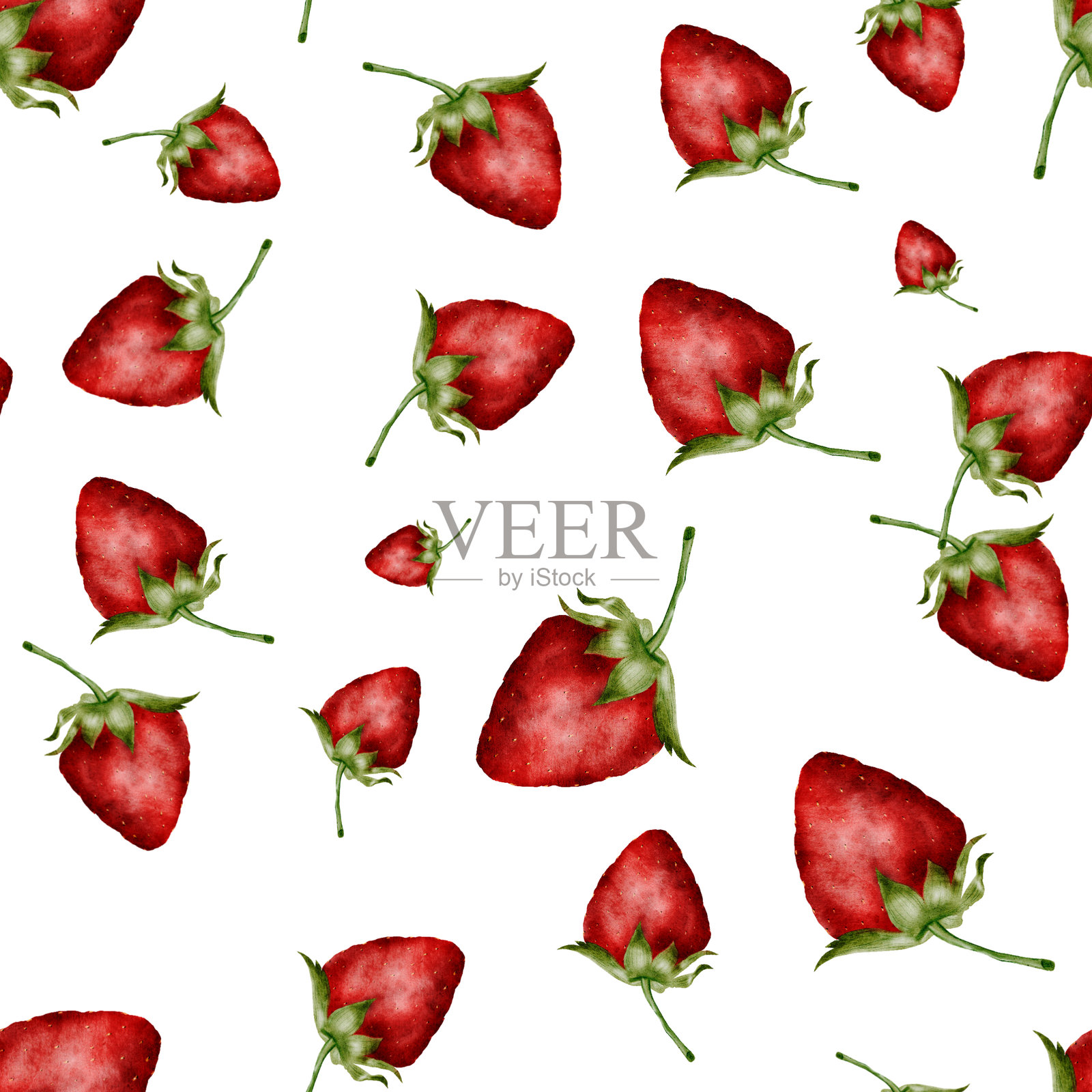 水彩草莓剪贴画。手绘红色园艺浆果，背景为纯白色。非常适合自然化妆品、厨房用品设计和茶叶标志。插画图片素材