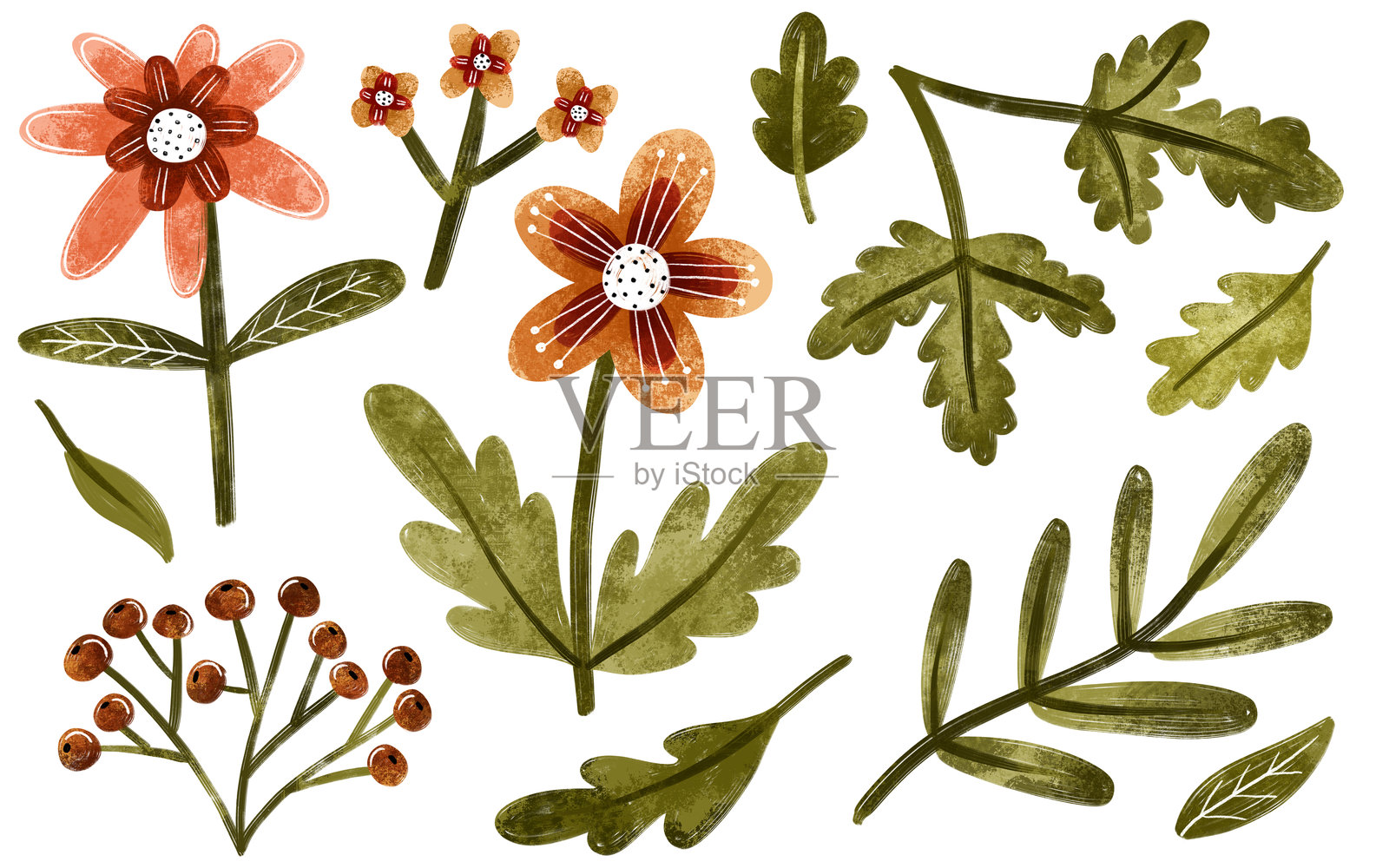 植物标本集，包括花卉、野花、植物、树枝和叶子。手绘水彩套装，背景为纯色。插画图片素材