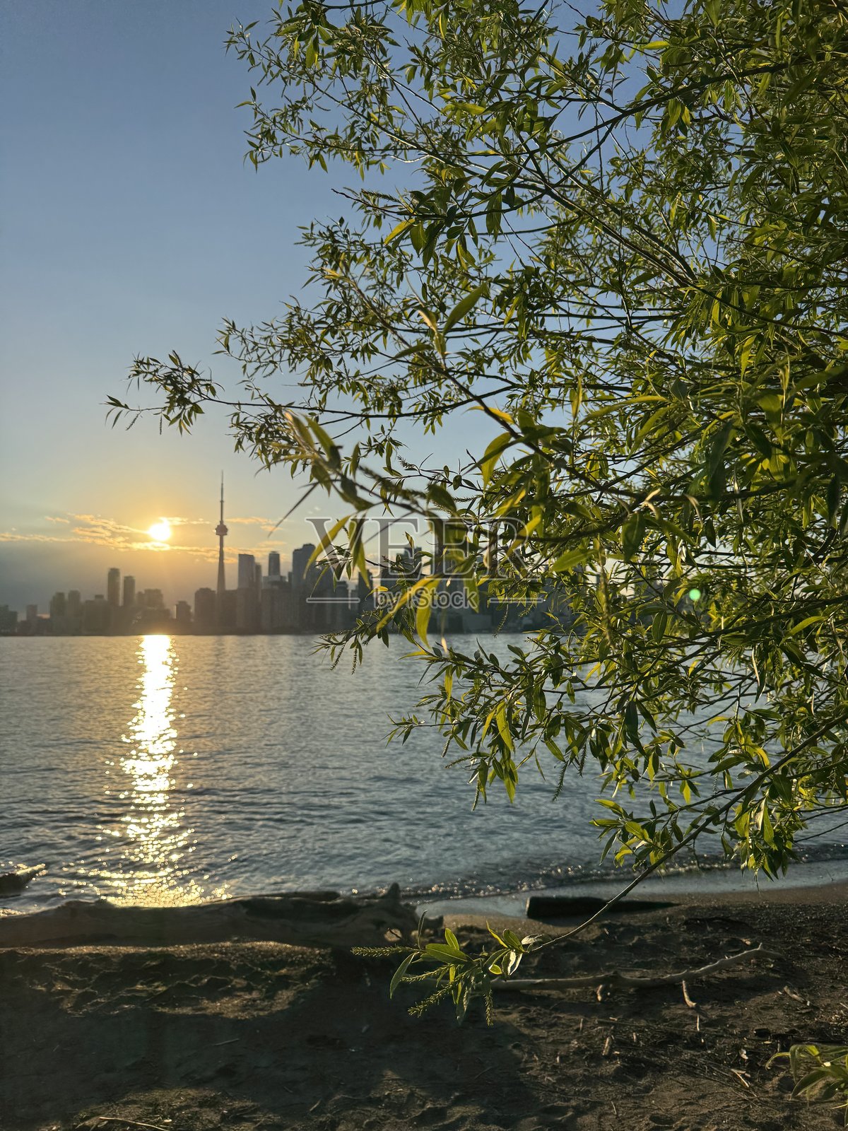 多伦多天际线在湖边树木间的日落景色照片摄影图片