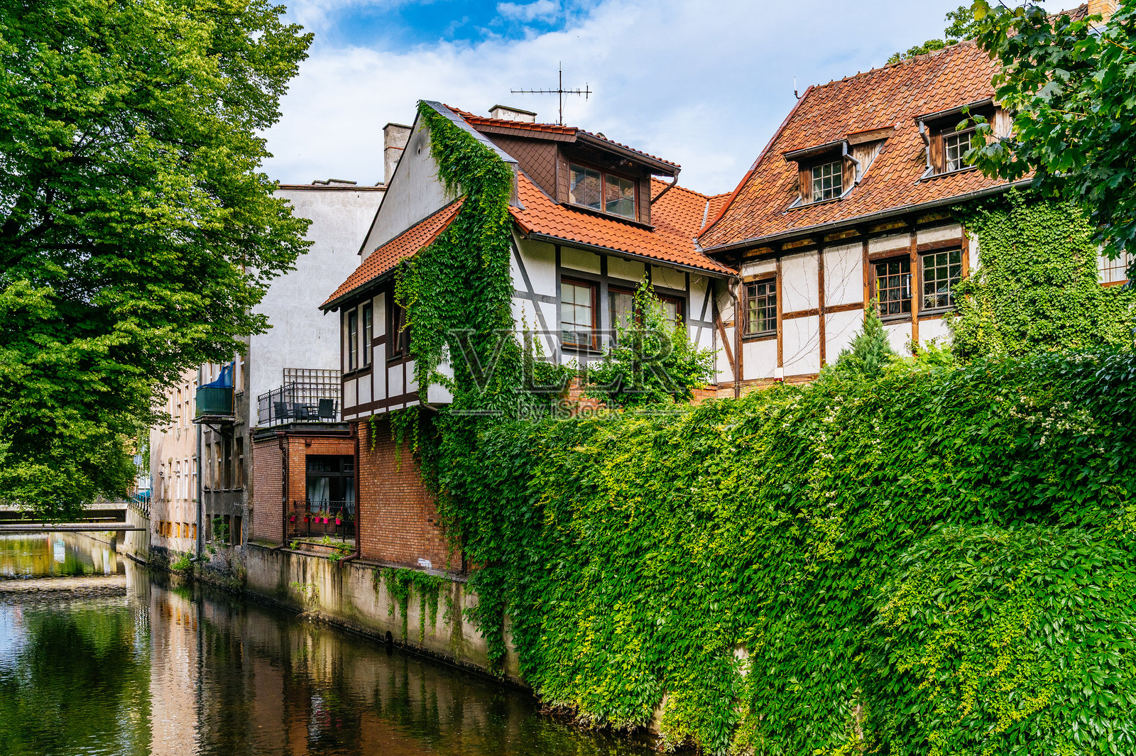 格但斯克老城沿水道的传统半木结构房屋被绿色常春藤覆盖照片摄影图片