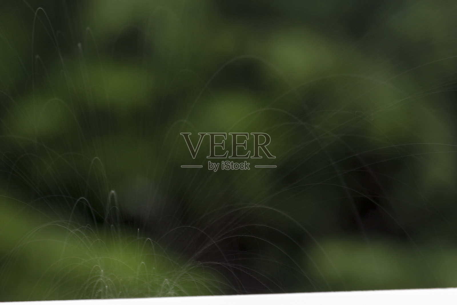 水滴模糊的雨景照片摄影图片