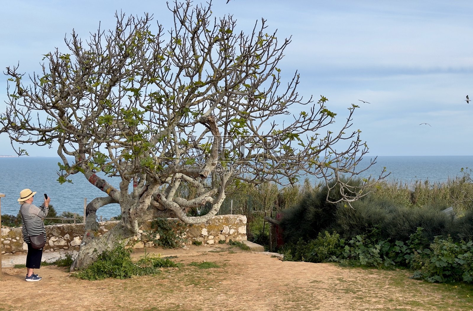 女人在葡萄牙拉各斯的海岸小径上拍照照片摄影图片