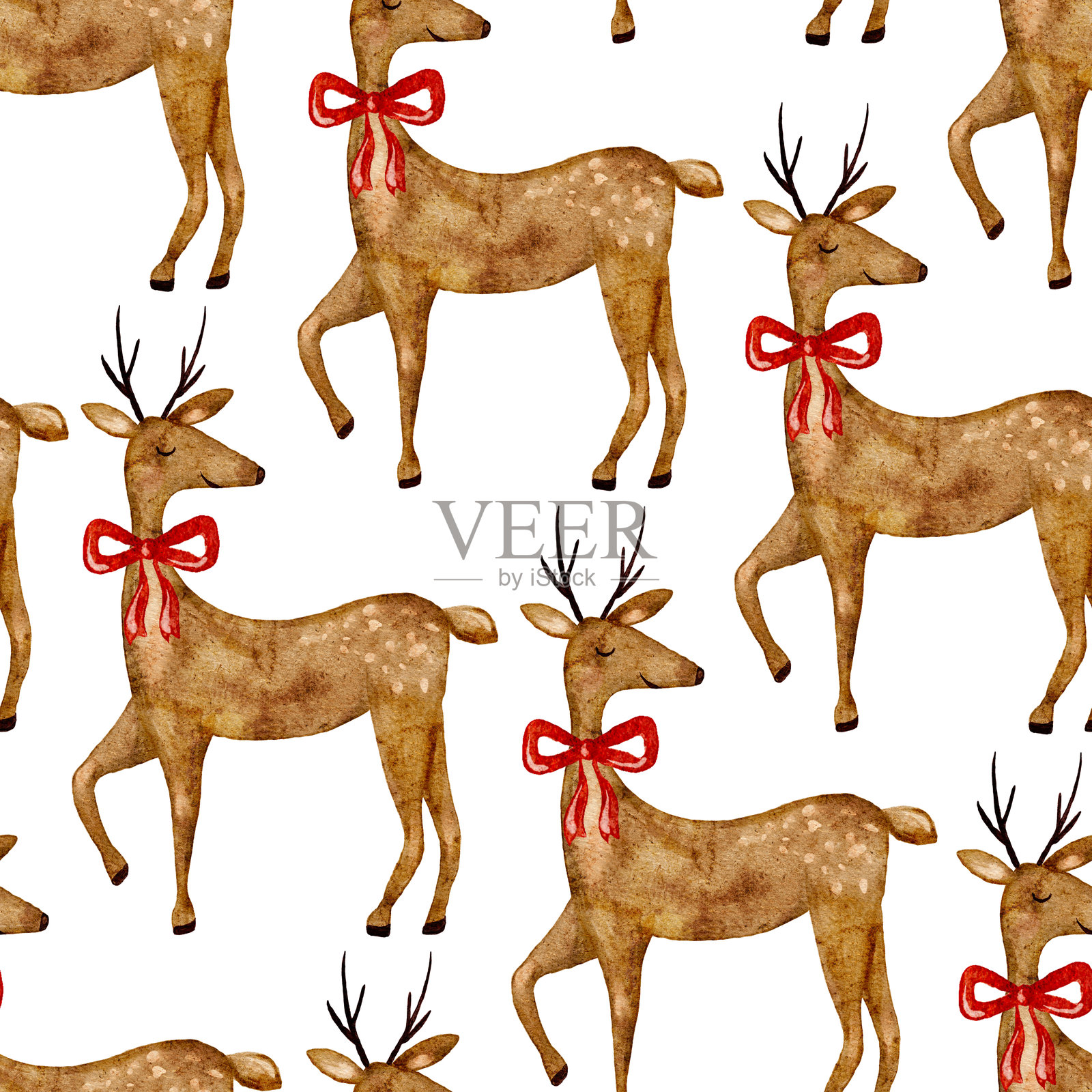 森林圣诞图案与绘制的鹿插图插画图片素材