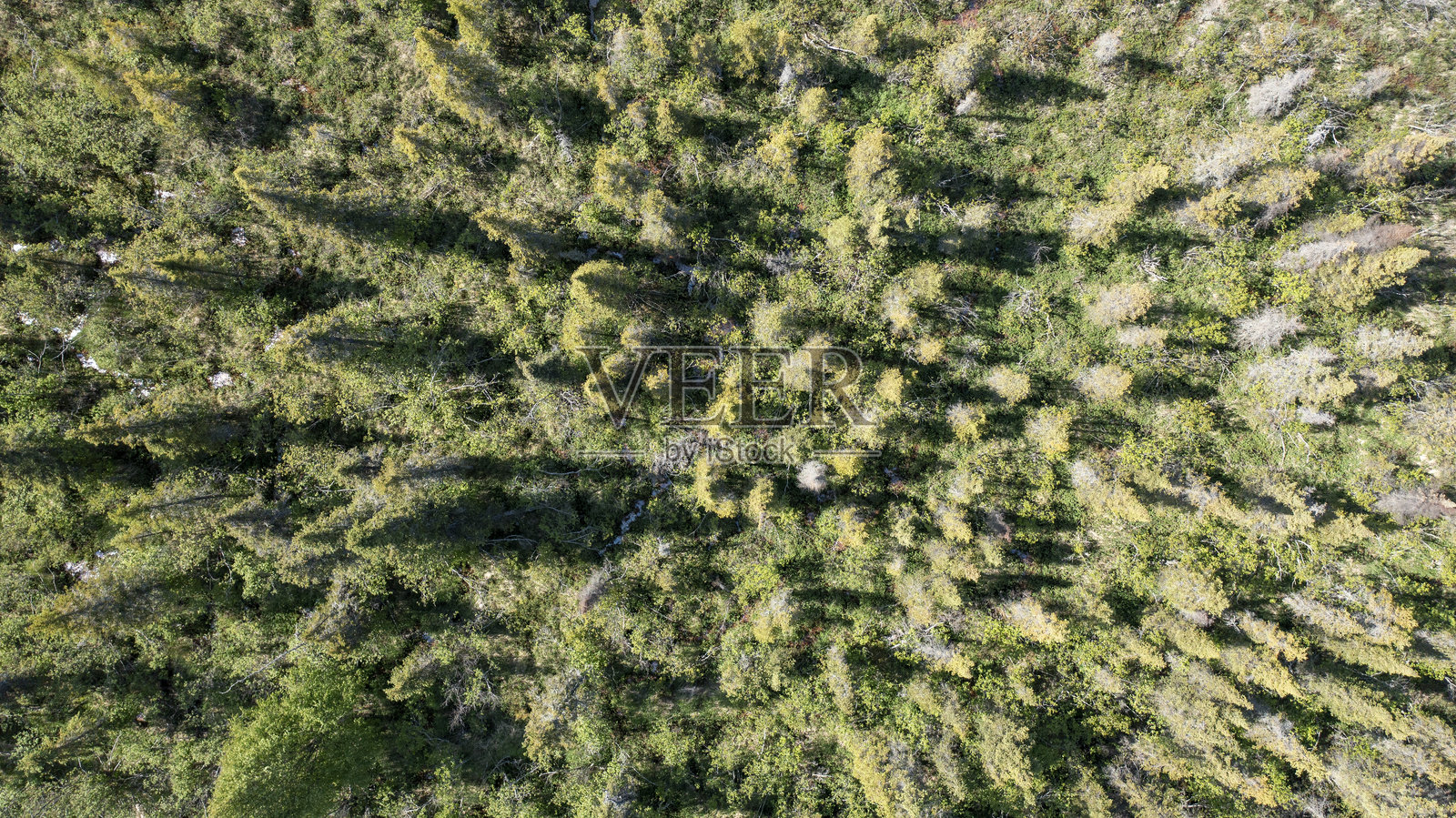 阿拉斯加山脉照片摄影图片