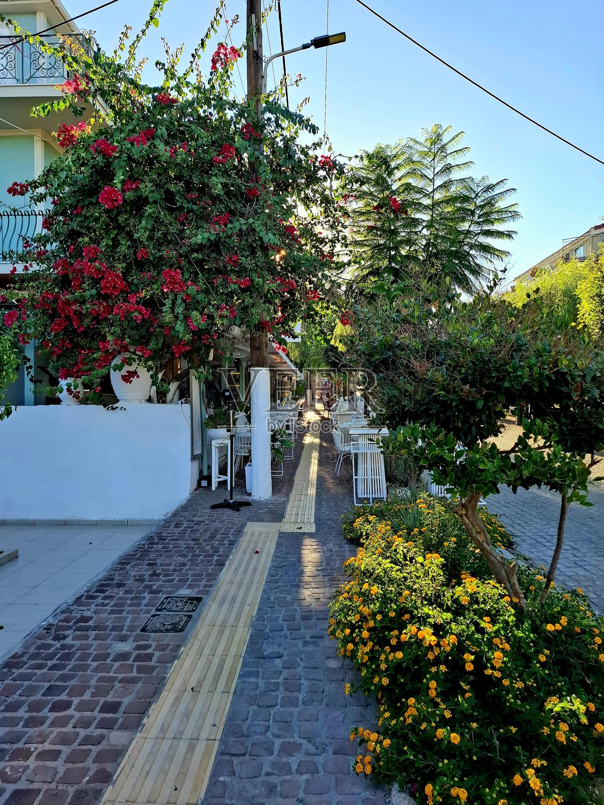 狭窄的街道上盛开着五彩缤纷的花朵照片摄影图片