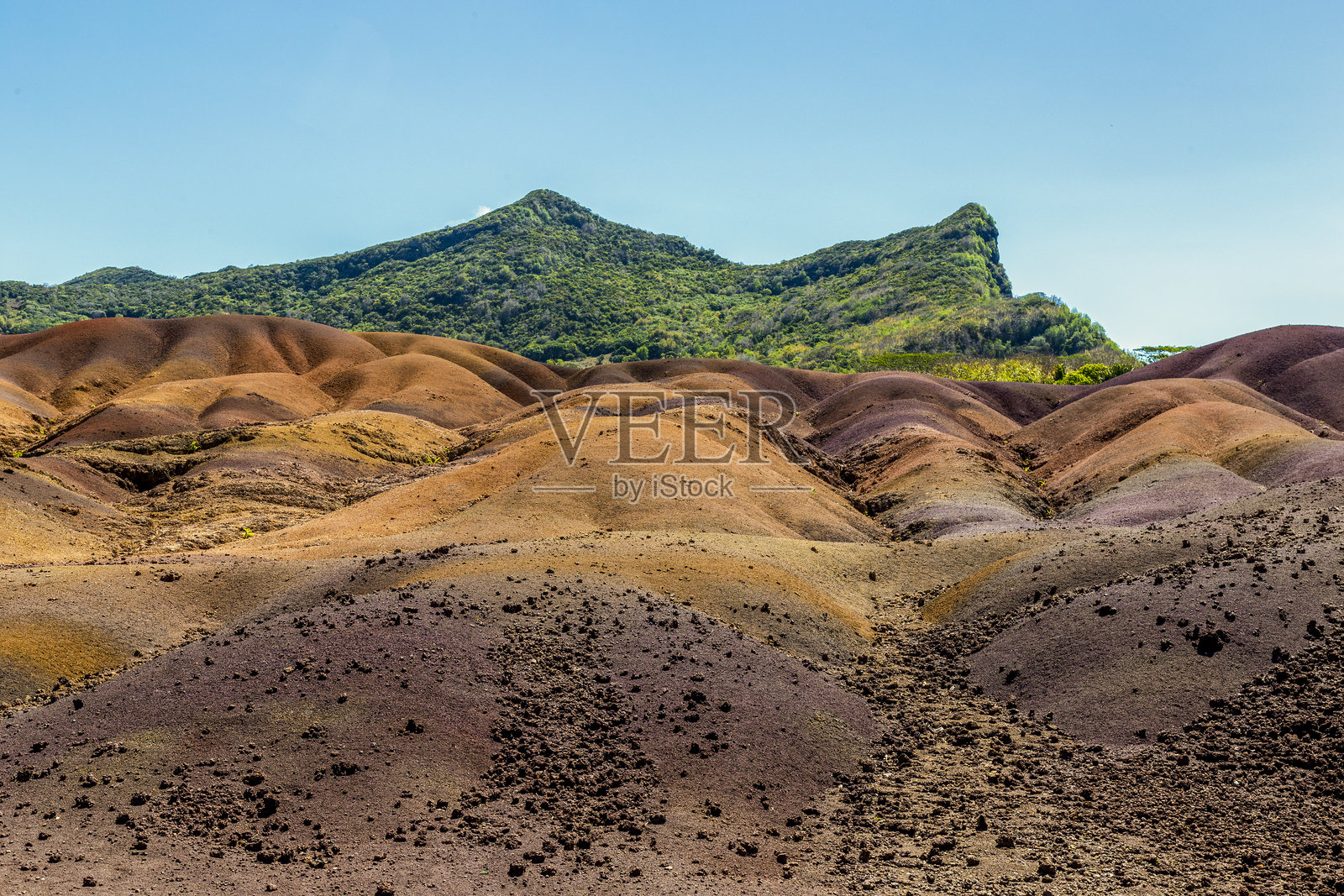 毛里求斯照片摄影图片