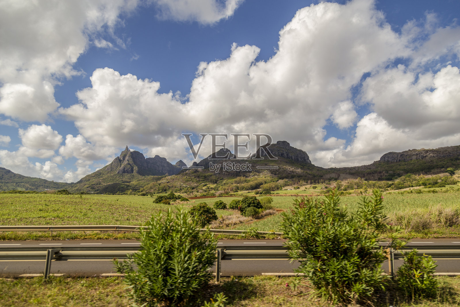 毛里求斯照片摄影图片