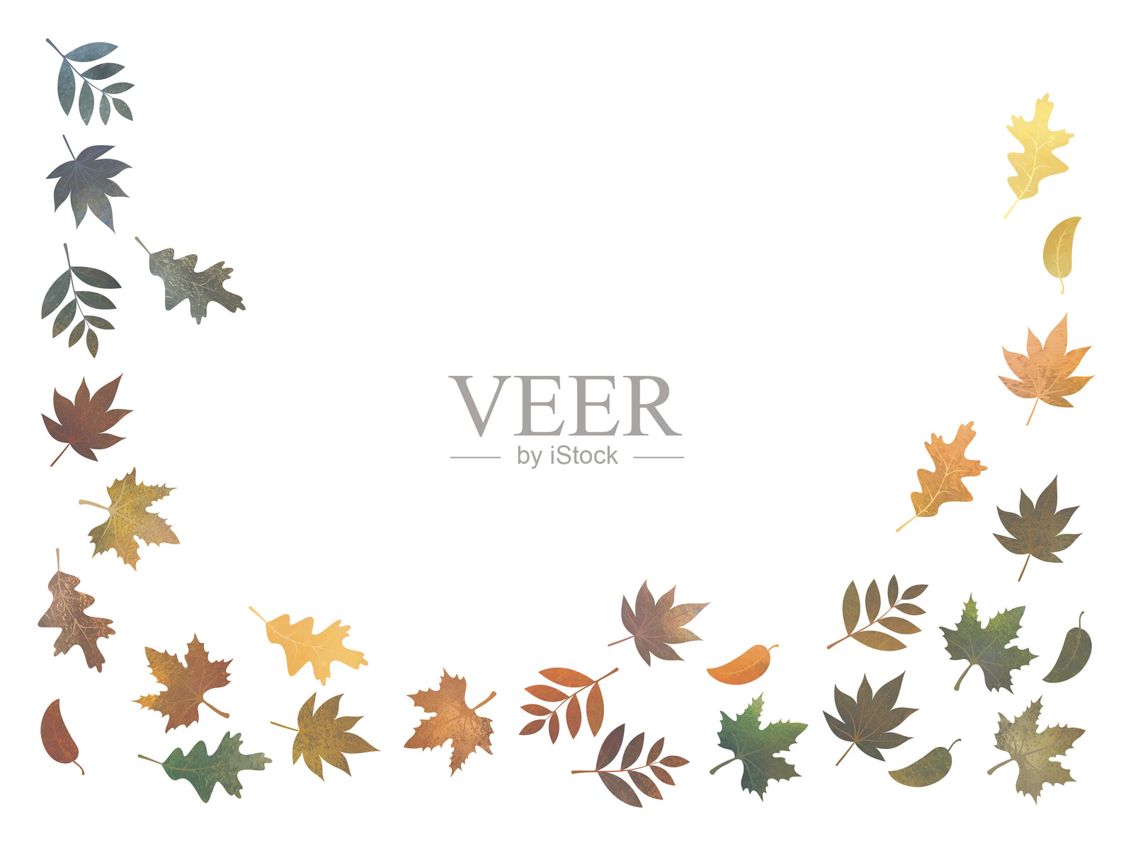 设计元素 - 秋天的树叶。插画图片素材