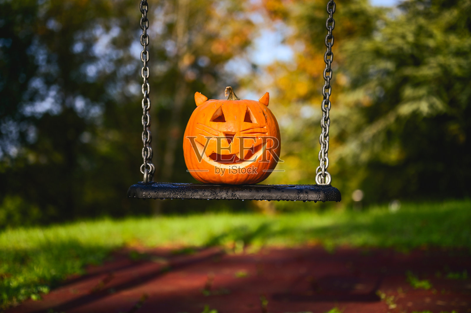 公园里秋千上坐着一个雕刻的猫南瓜照片摄影图片