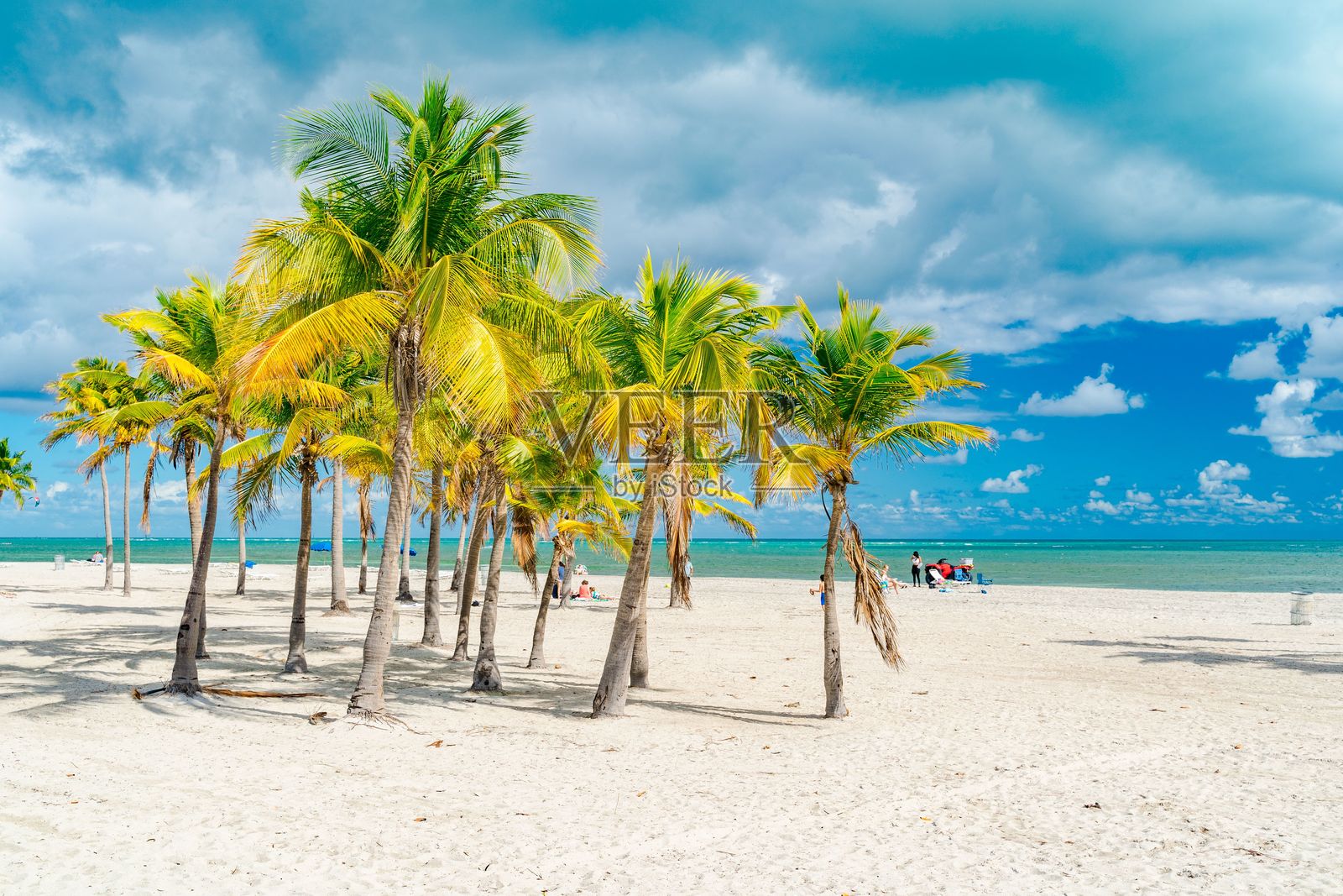 热带海滩，棕榈树与碧蓝的海洋。照片摄影图片