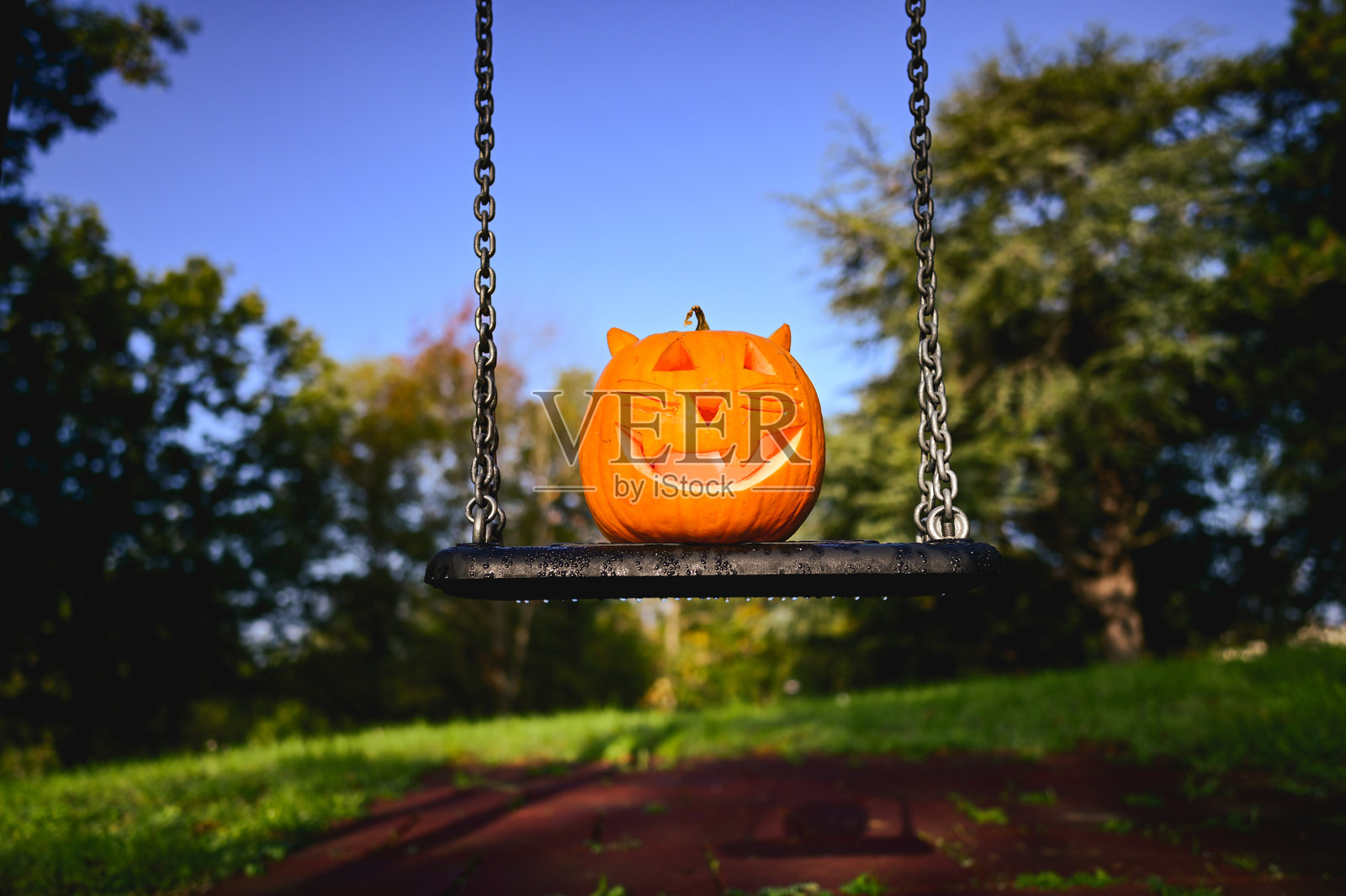 万圣节时坐在秋千上的雕刻猫南瓜照片摄影图片