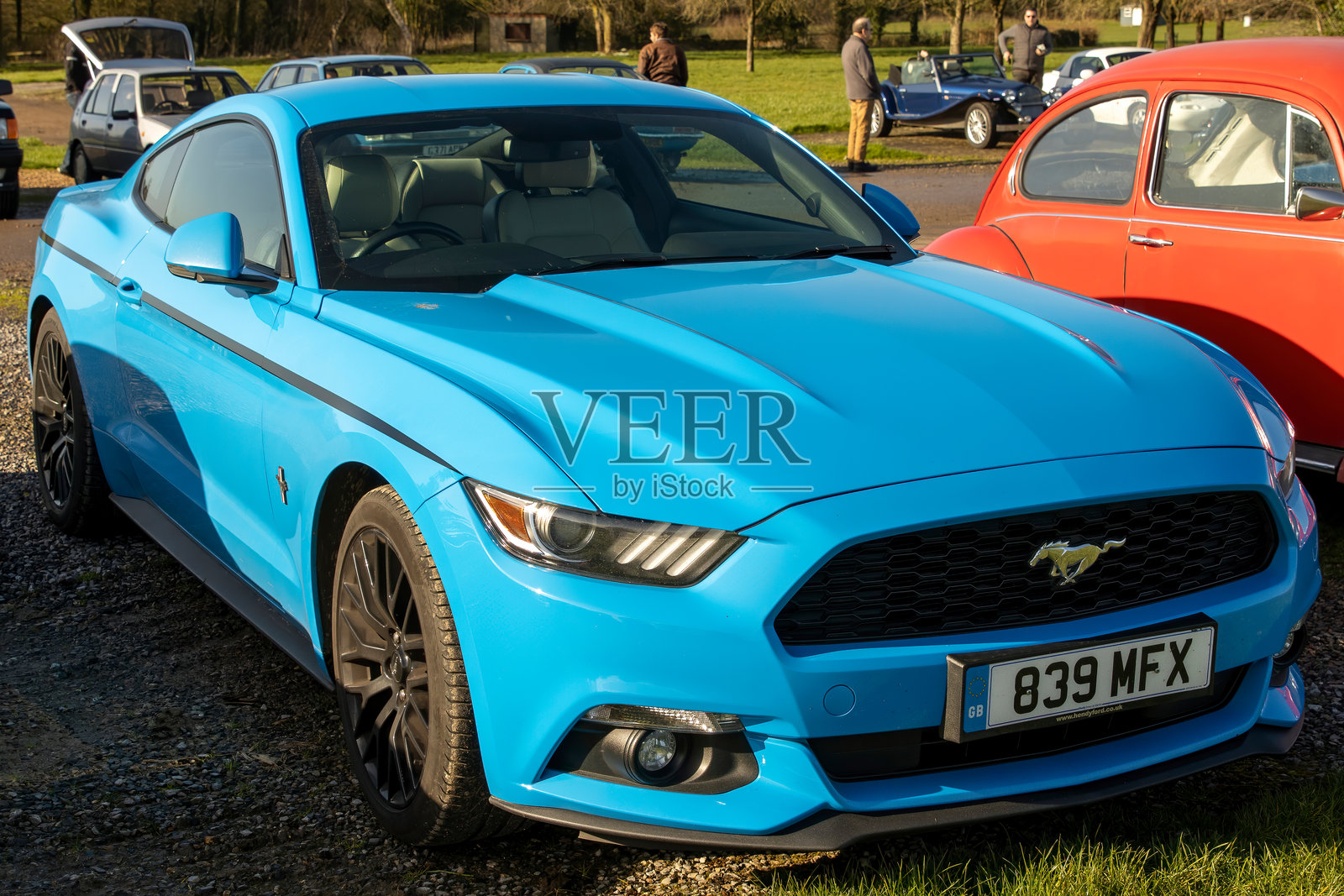 福特野马 - 2017年。照片摄影图片