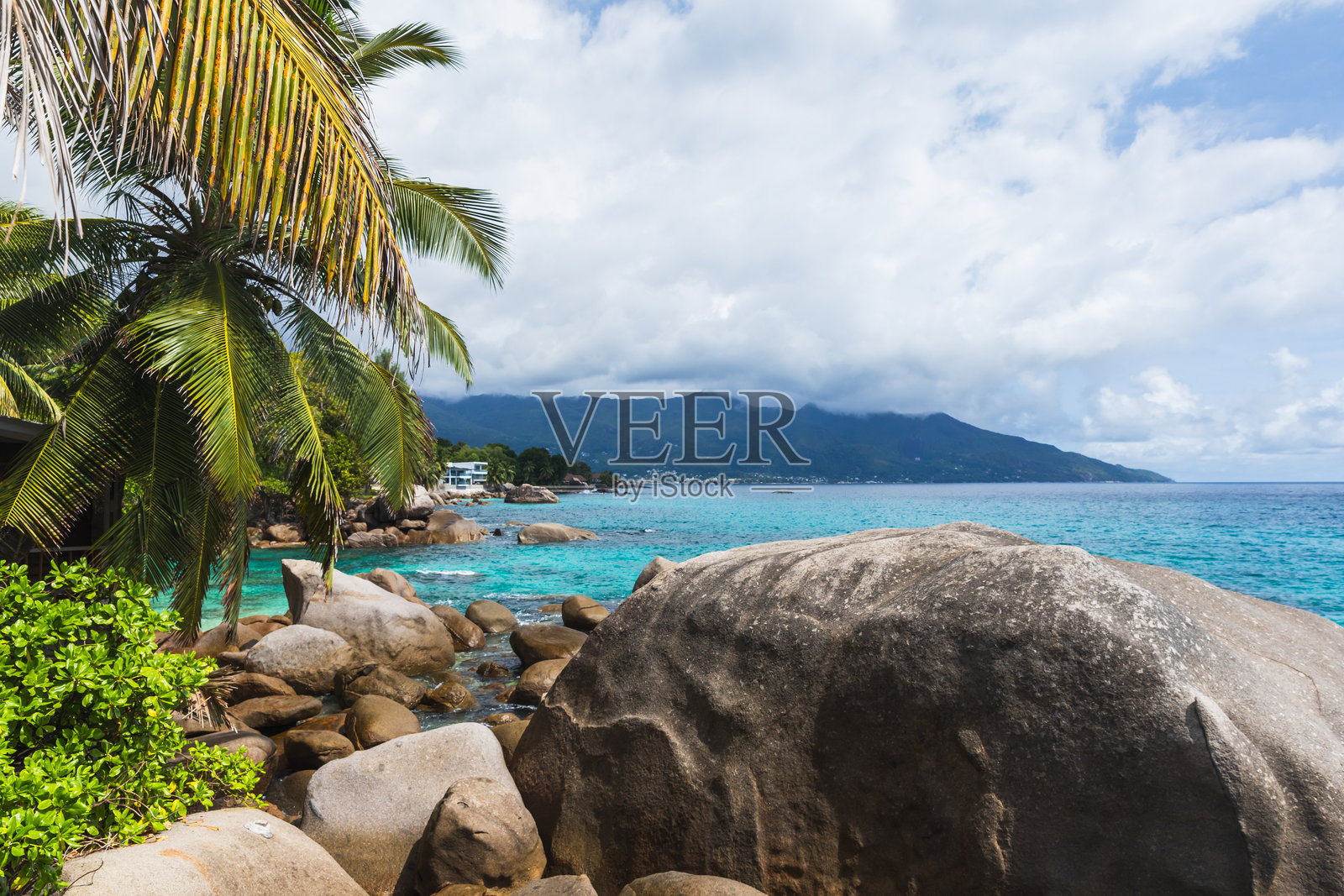 宁静的海岸风光，棕榈树、花岗岩巨石和蓝色海水相映成趣照片摄影图片