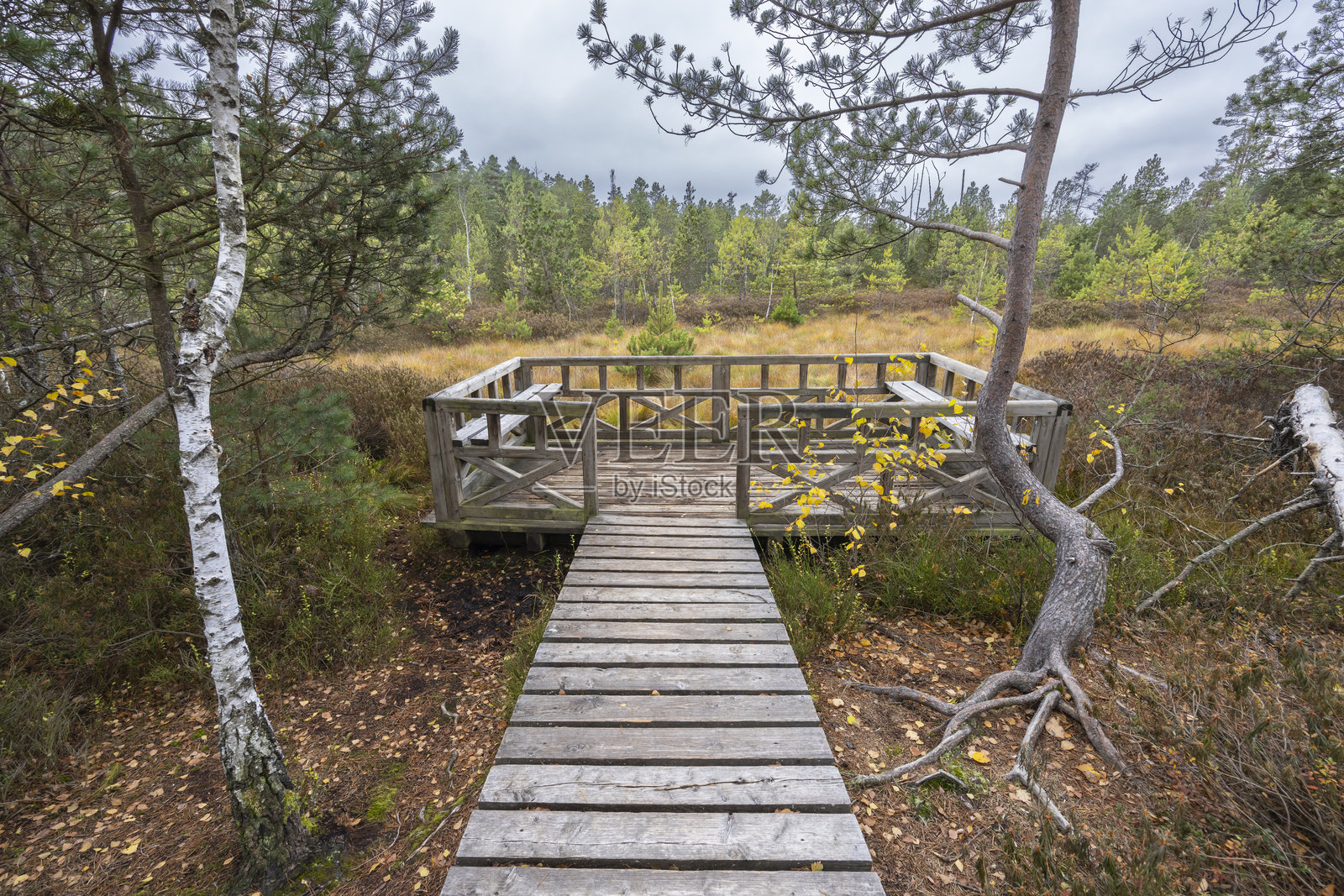 捷克共和国南波希米亚特雷布诺斯科地区苏赫多尔纳德卢日尼采附近的红泥（Cervene blato）国家自然保护区照片摄影图片