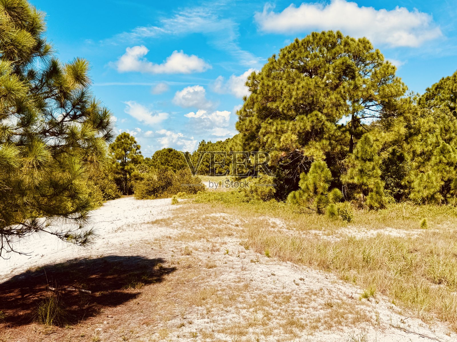 沙子滑落照片摄影图片