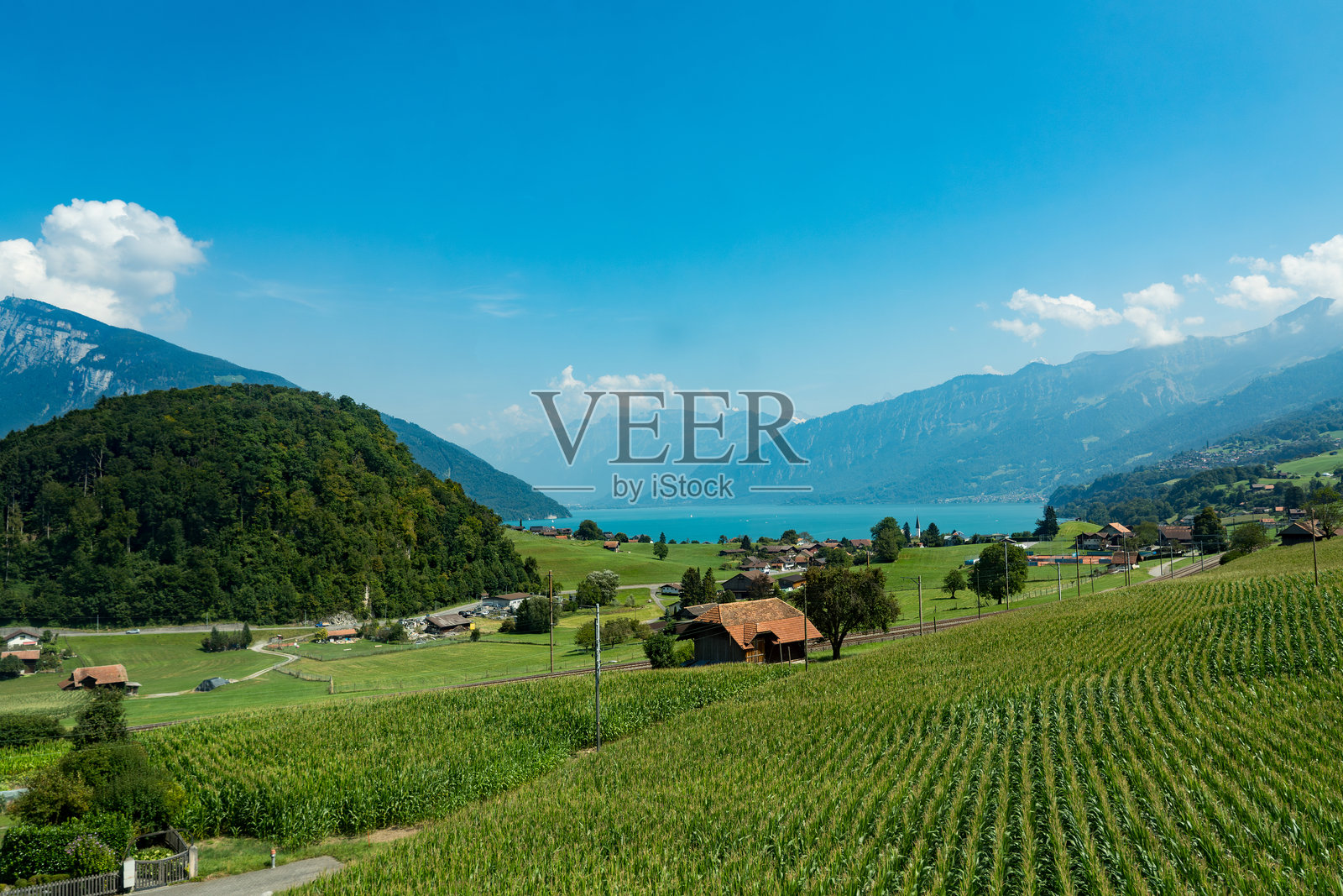 沿着图恩湖的火车之旅,途经图恩市、绿意盎然的田野和阿尔卑斯山房屋,前往瑞士的采尔马特。照片摄影图片