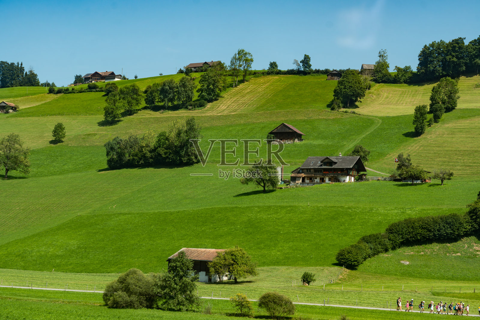 沿着图恩湖的火车之旅，途经图恩市、绿意盎然的田野和阿尔卑斯山房屋，前往瑞士的采尔马特。照片摄影图片