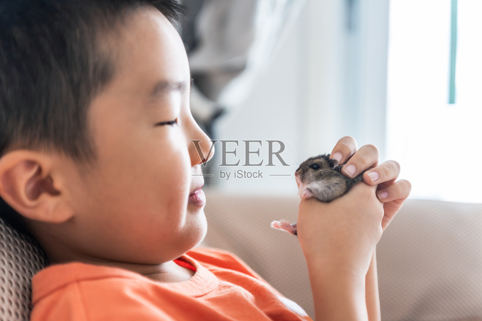 小男孩温柔地抱着一只小仓鼠照片摄影图片