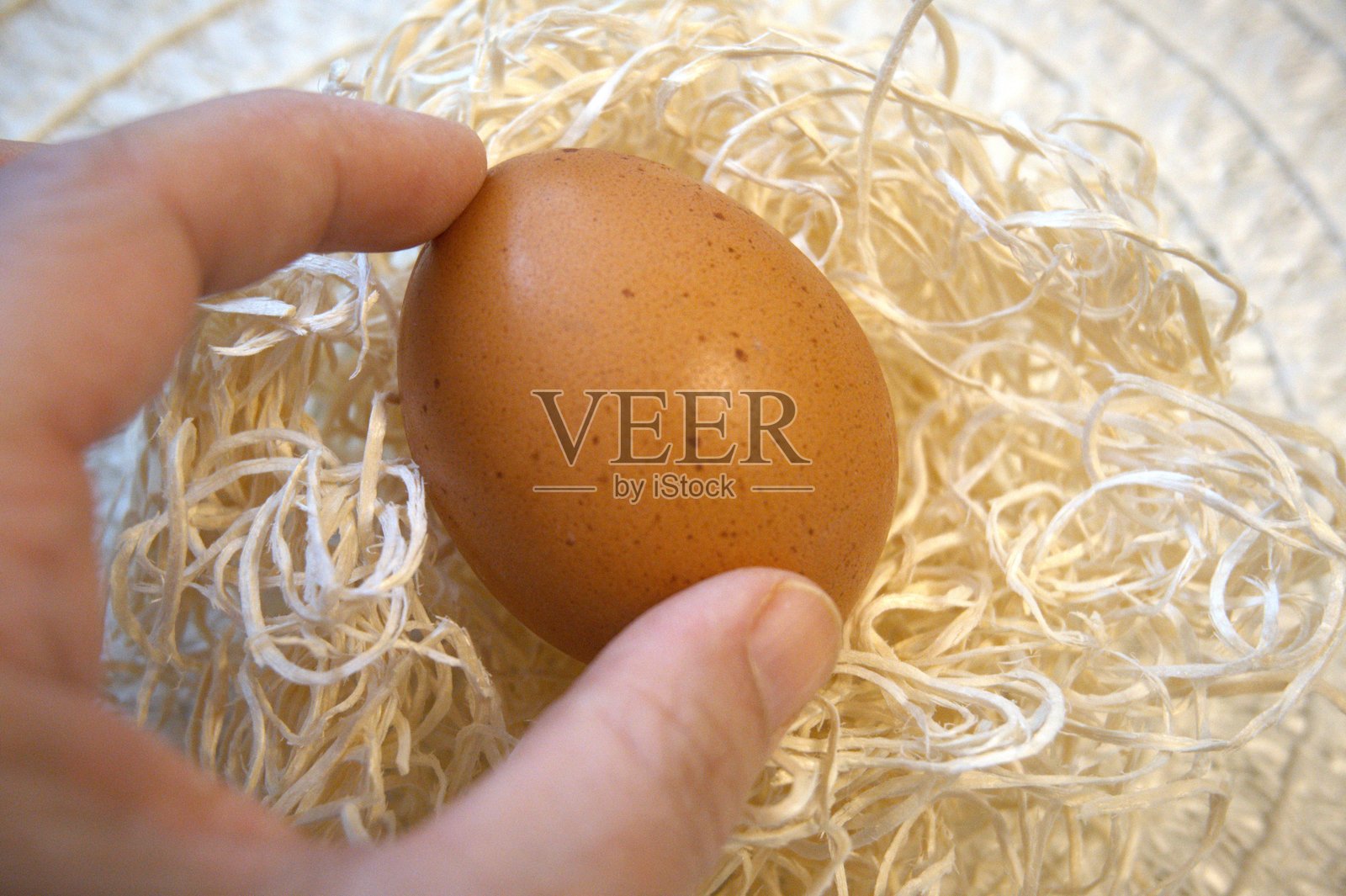 单个棕色鸡蛋在拉菲亚草窝中，特写镜头照片摄影图片