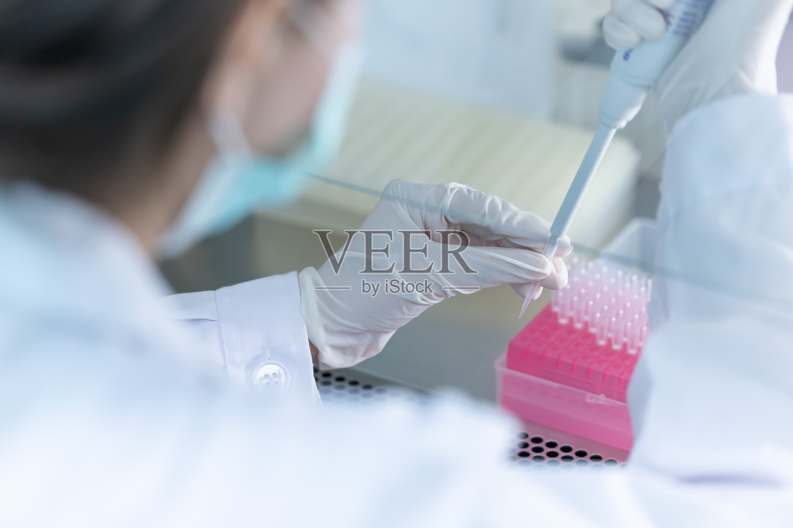 实验室技术人员在现代研究设施中使用试管和显微镜进行实验照片摄影图片