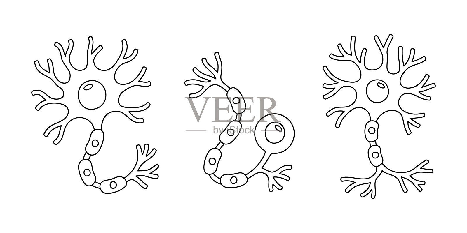 三个人神经元细胞，带有轴突和树突。用于科学或教育的黑白矢量插图插画图片素材