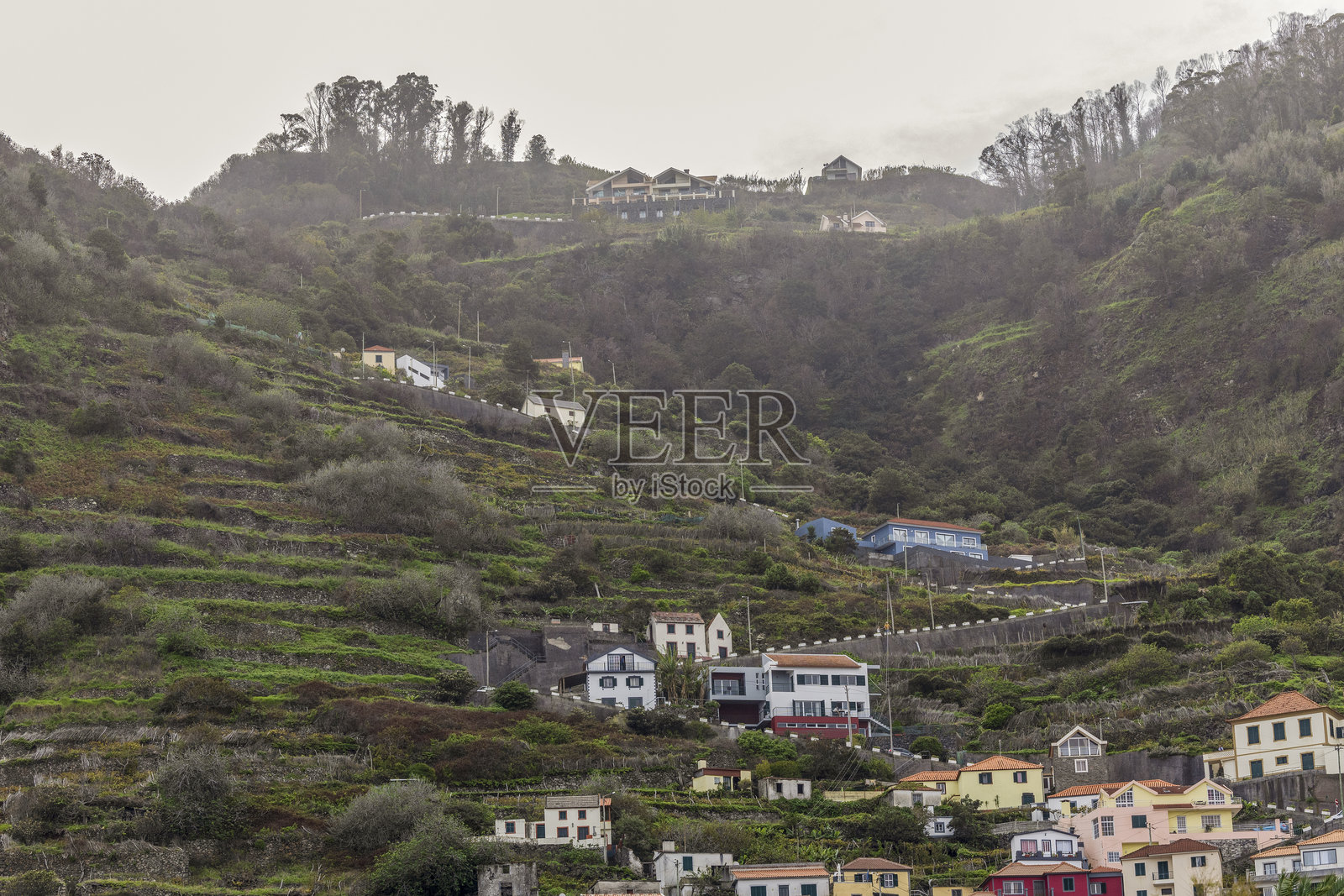 马德拉照片摄影图片