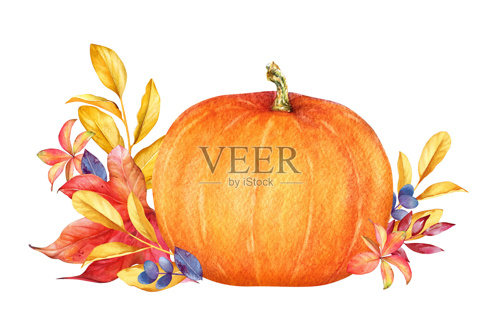 水彩手绘的秋季彩色叶子和南瓜的花卉设计插画图片素材