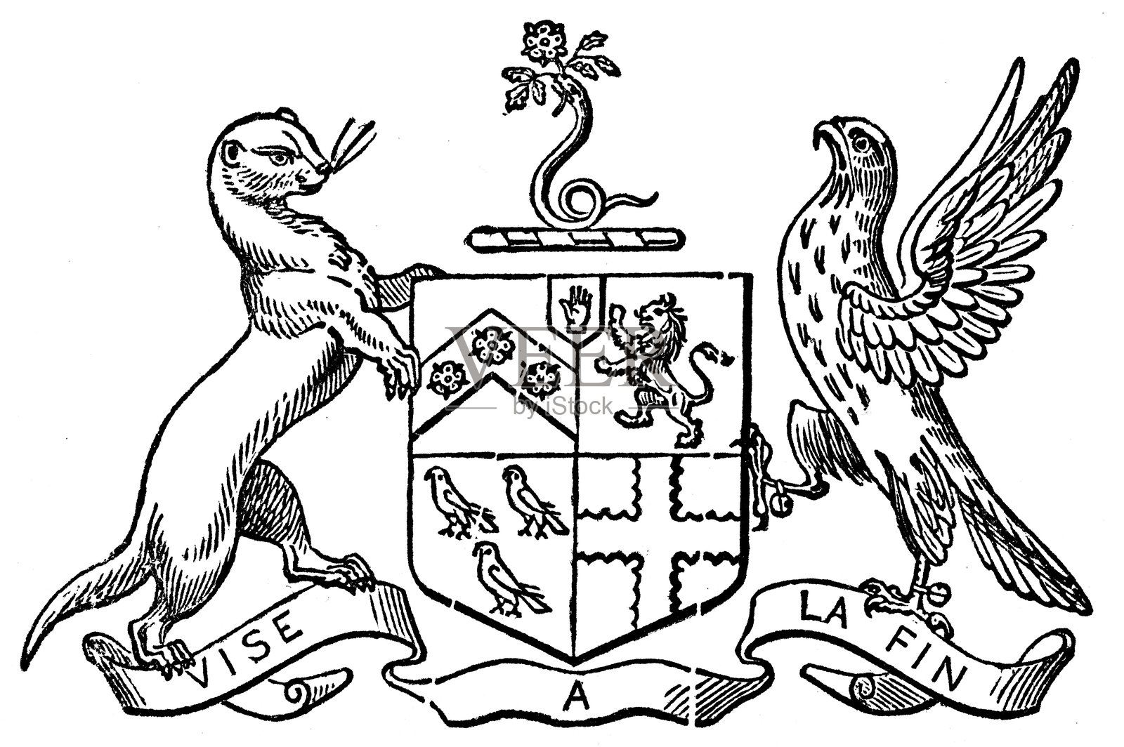 纹章徽章：乔治·霍姆爵士插画图片素材