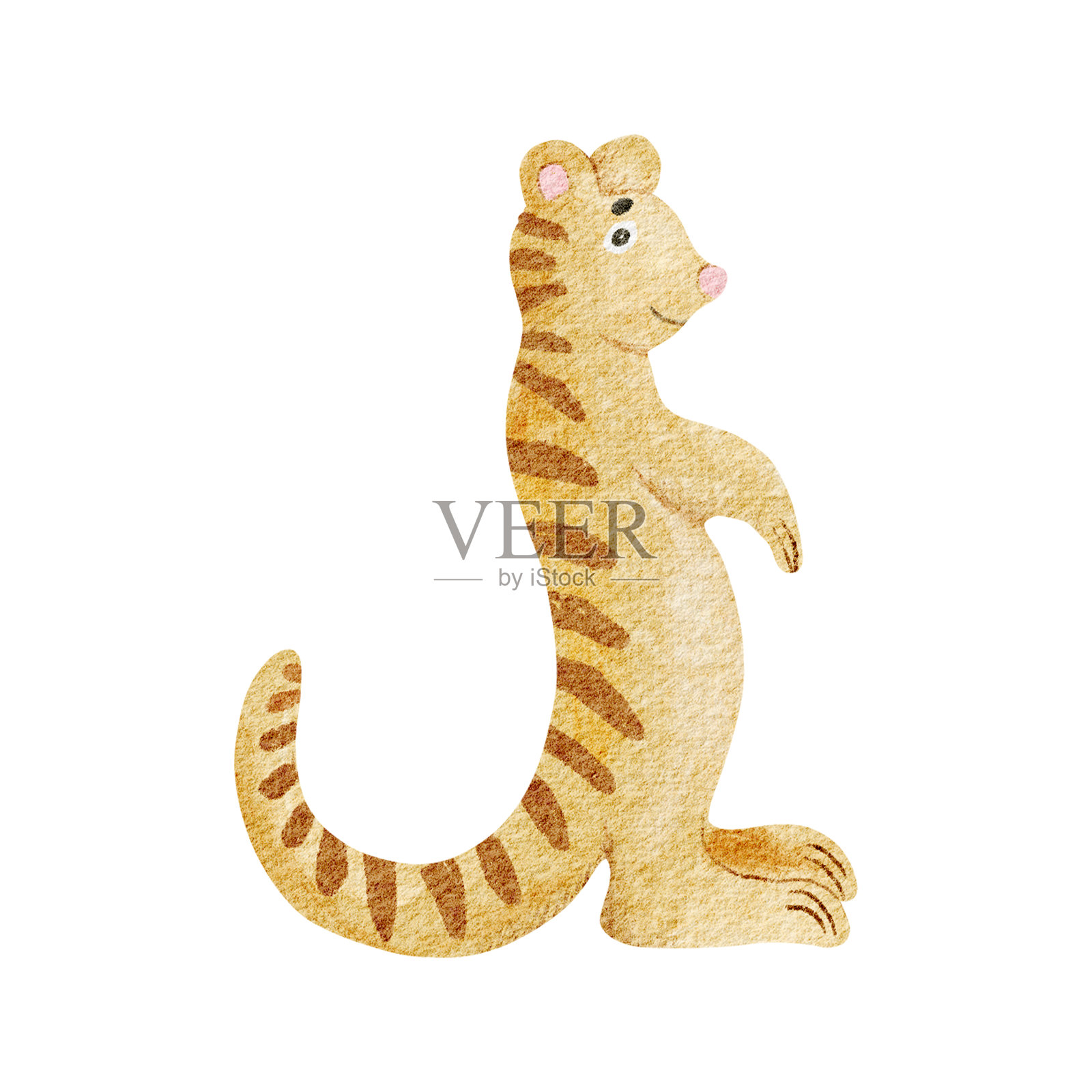 水彩插图中的狐獴，独立在白色背景上，处于警觉姿势。适合儿童野生动物探险设计的非洲草原动物。简单童趣风格的沙漠动物。幼儿园手绘剪贴画。插画图片素材