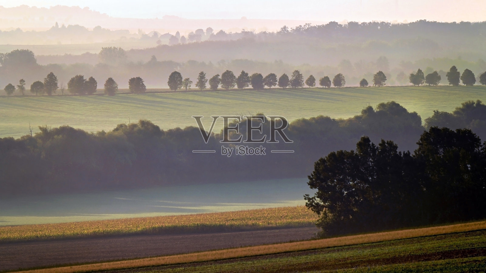 雾气弥漫的斯洛伐克乡村照片摄影图片