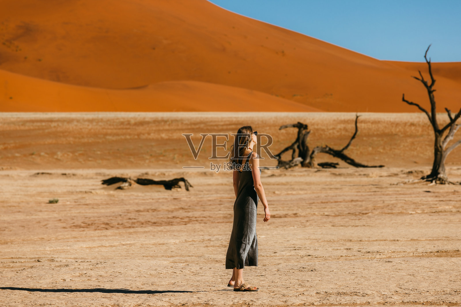 在纳米布沙漠的干涸湖泊德德维利，穿着美丽裙子的惊叹女性走过枯死的树木。照片摄影图片