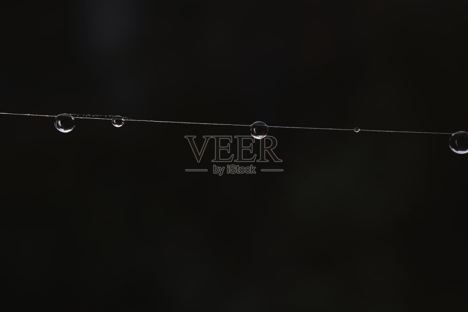 秋日清晨，露珠挂在蜘蛛网上。照片摄影图片