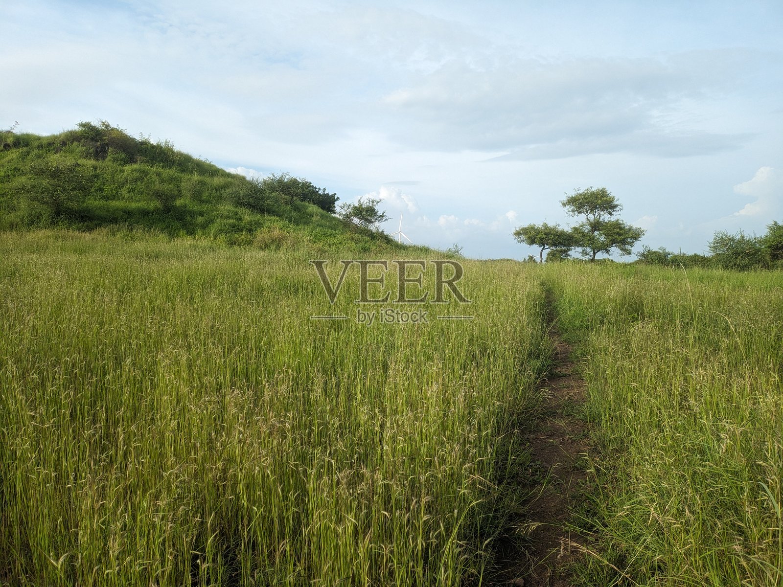 草原风光照片摄影图片