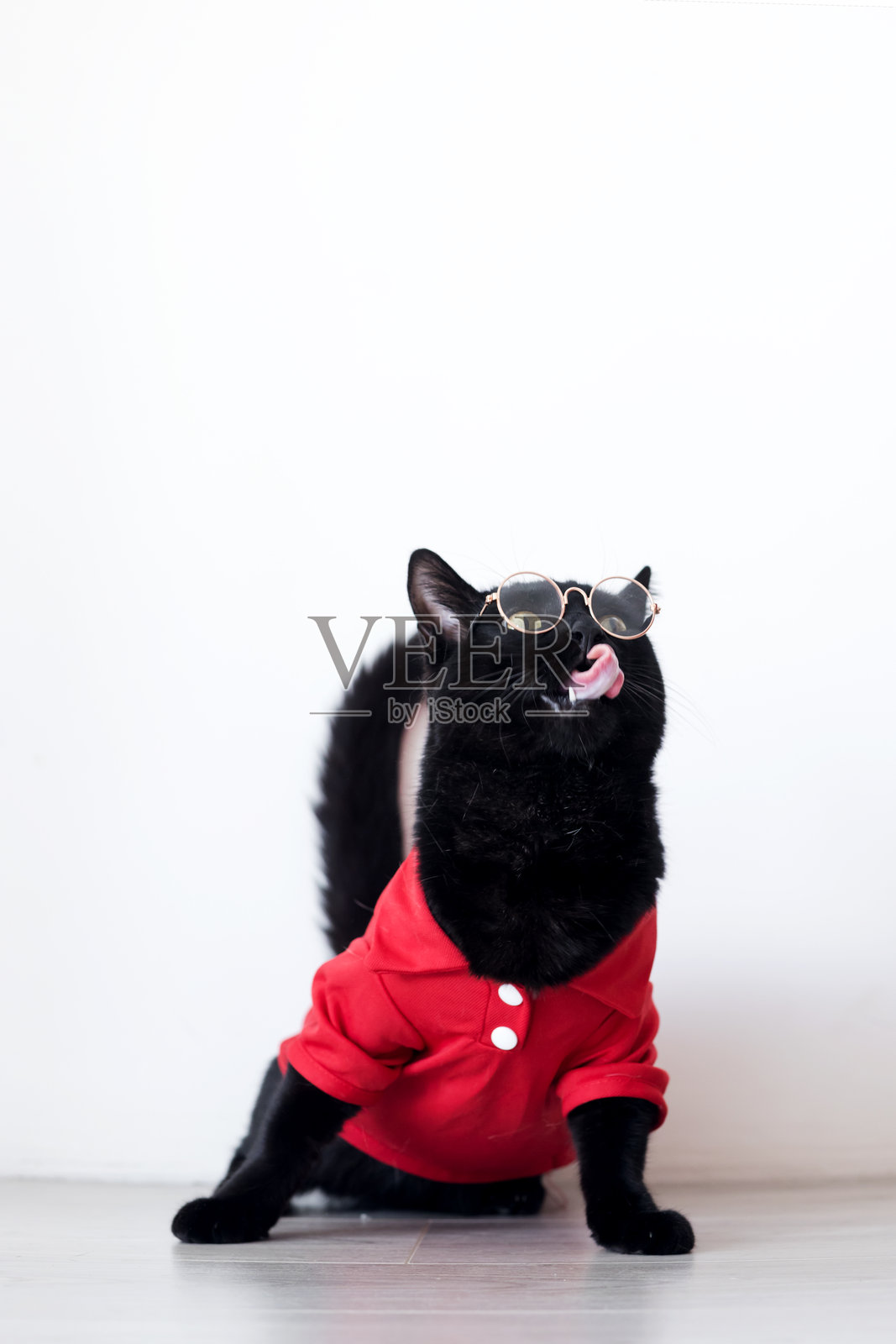 一只戴着眼镜、穿着红色T恤的聪明的黑猫，舔着嘴唇，抬着头。照片摄影图片