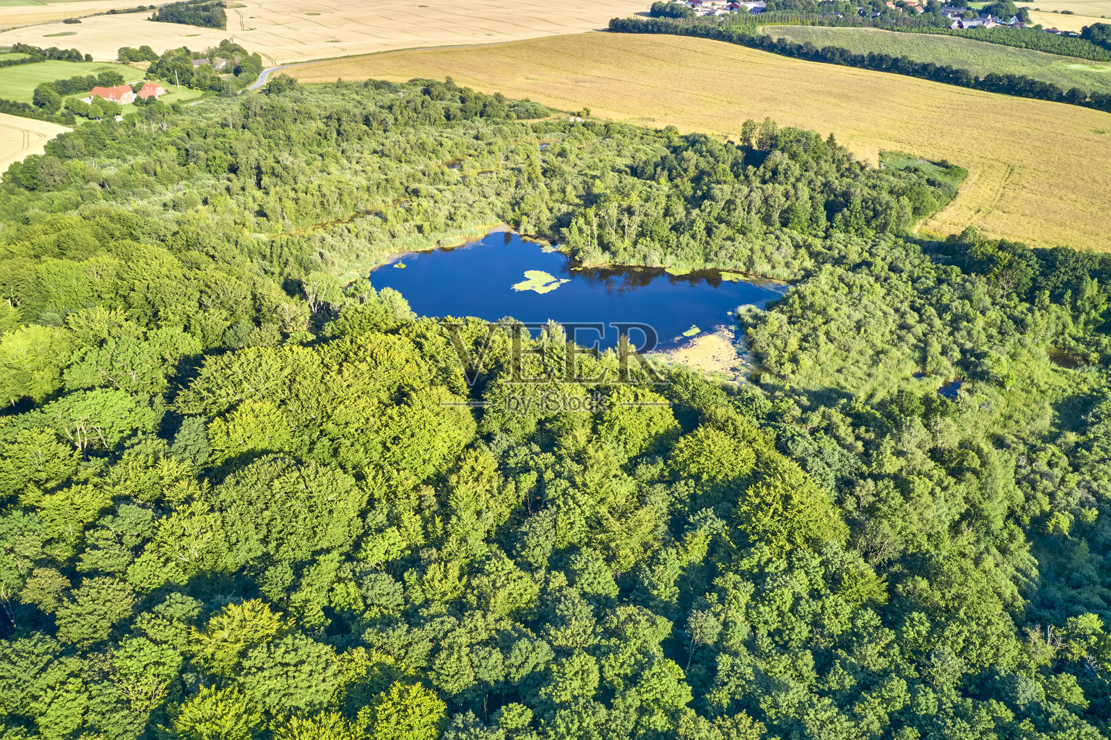 丹麦乡村郁郁葱葱的绿色植被环绕的宁静池塘的鸟瞰图照片摄影图片