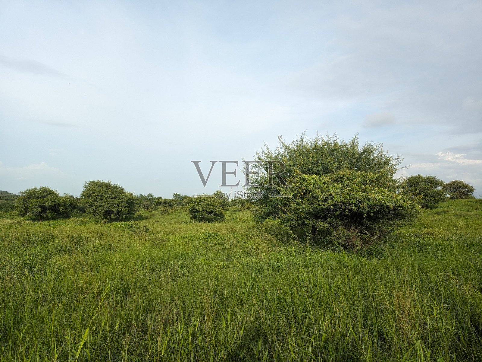 草原风光照片摄影图片