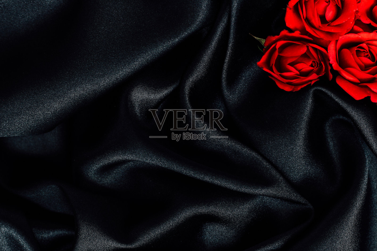 优雅的红玫瑰在柔软的黑色织物上构成醒目的视觉构图照片摄影图片