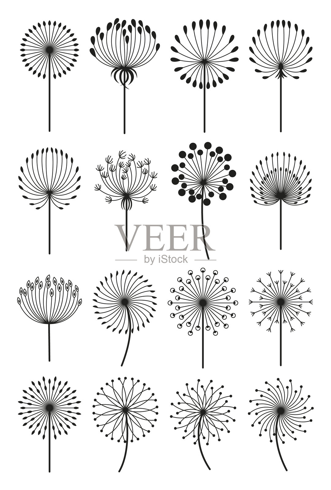 蒲公英图标集，适合各种创意项目和设计插画图片素材