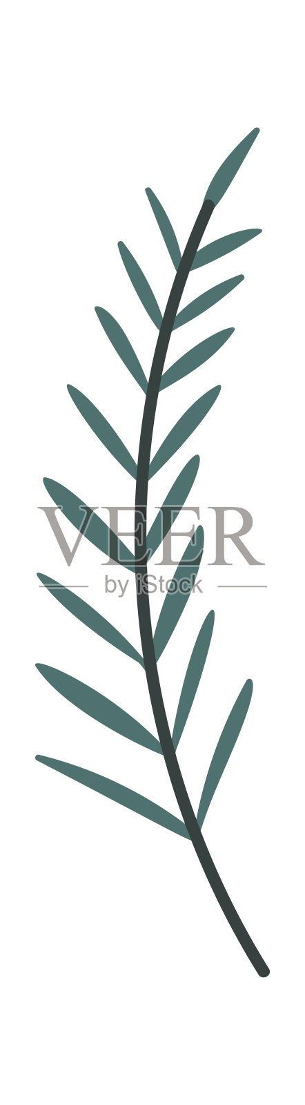 装饰性树枝圣诞 ornament插画图片素材